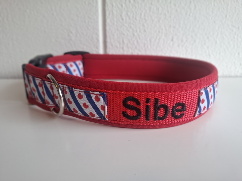 Rood Halsband Friese vlag naam