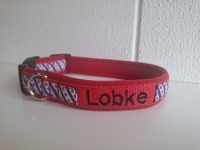 Rood Halsband Friese vlag naam