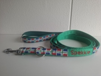 Lijn Groningse vlag 2 lengtes Lijn Groningse vlag 2 lengtes