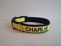 Halsband met naam 1,5cm