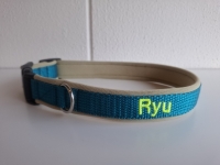 Halsband met naam 2cm