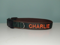 Halsband met naam 2cm